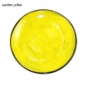 Dinner Plate